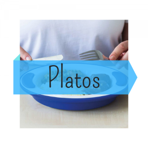 Platos Adaptados
